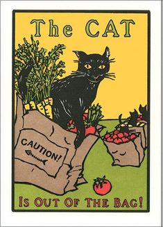 The Cat’s out of the Bag&nbsp;!